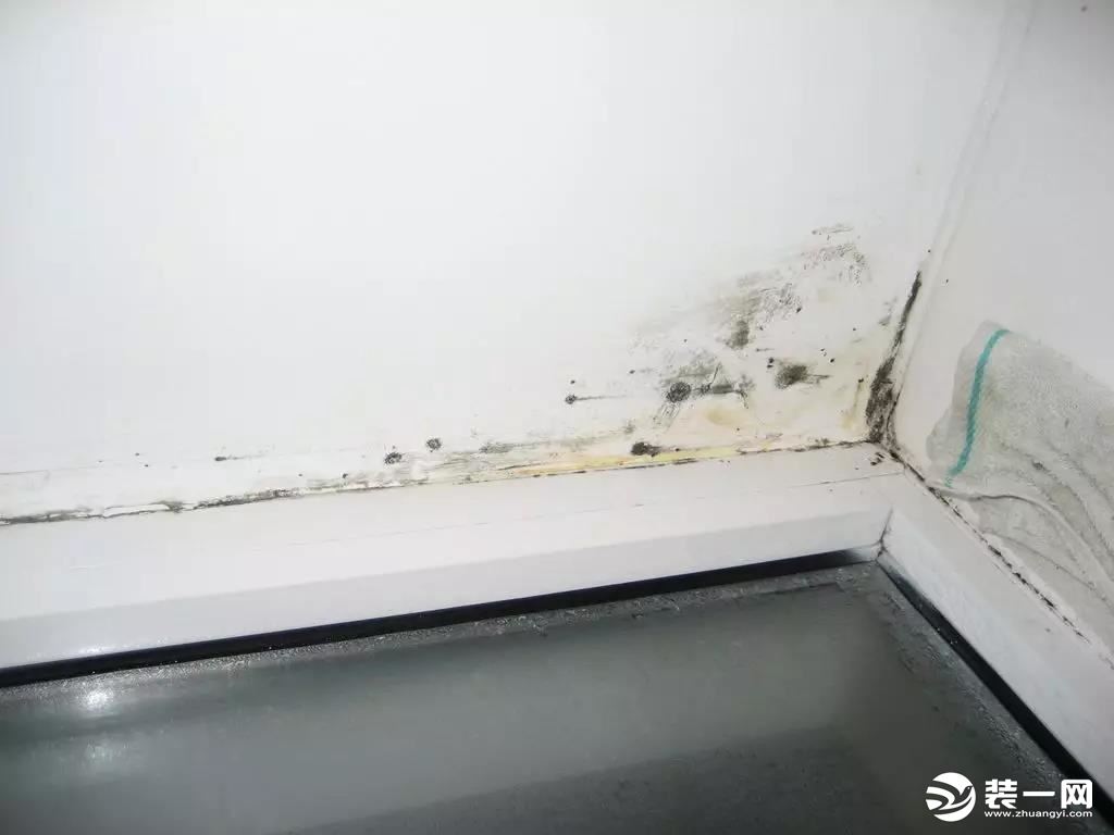 如何去除白墙上的污渍 白墙上的污渍怎么去除图